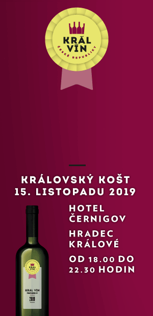 DEGUSTACE 300 NEJLEPŠÍCH VÍN VE WINE WELLNESS DEGUSTACE 300 NEJLEPŠÍCH VÍN VE WINE WELLNESS
