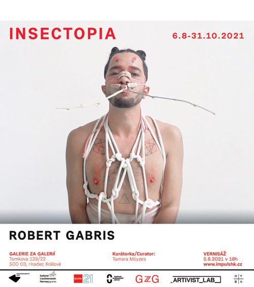 Unikátní výstava Insectopia Roberta Gabrise v Hradci Králové